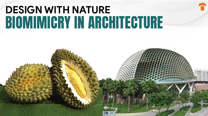 “Nature-Inspired Innovation: Biomimicry Reshapes Architectural Design in 2024”