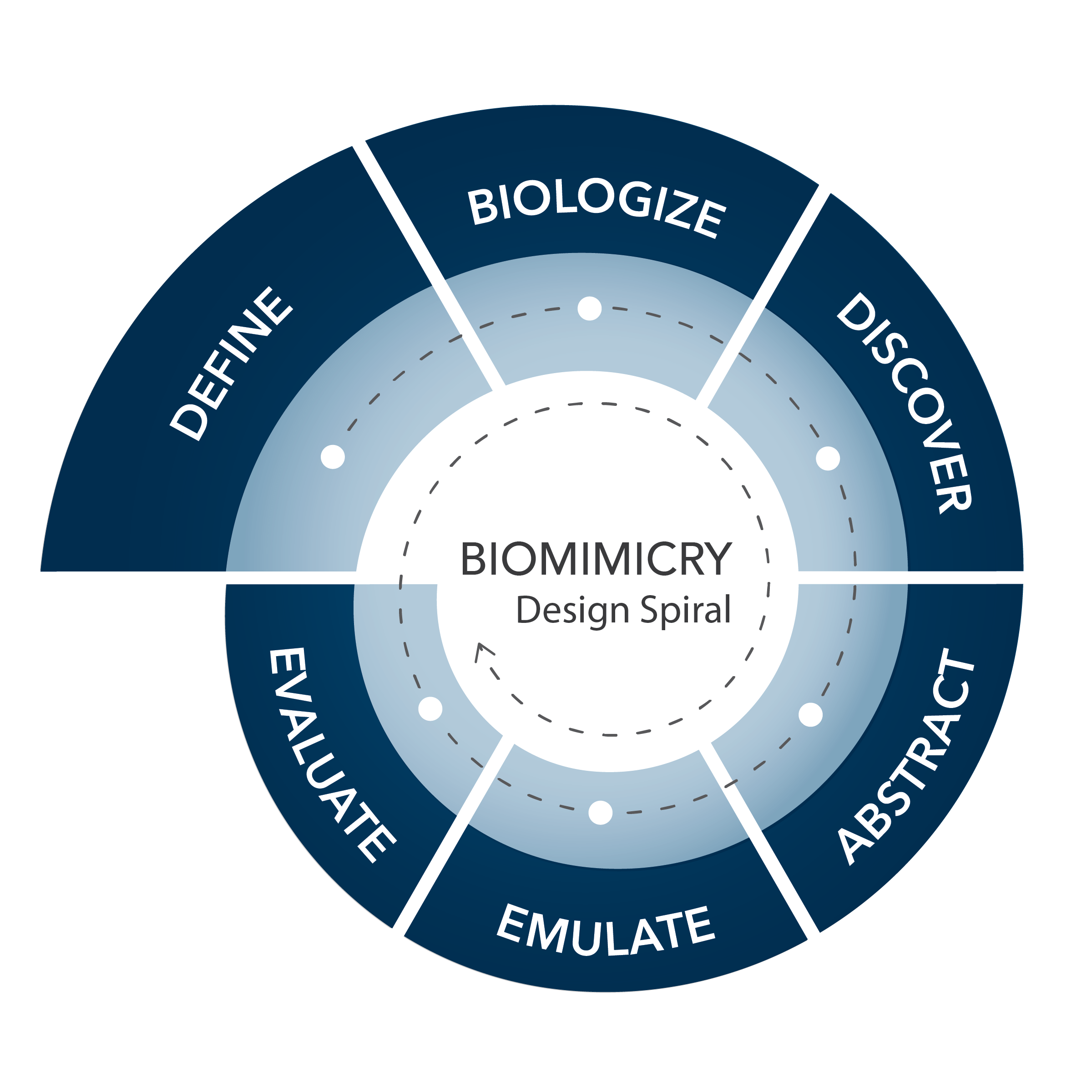 Biomimicry in Architecture: Learning from Nature’s Design Principles